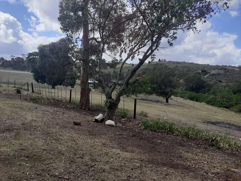 0 Bedroom Property for Sale in Riversdale Western Cape